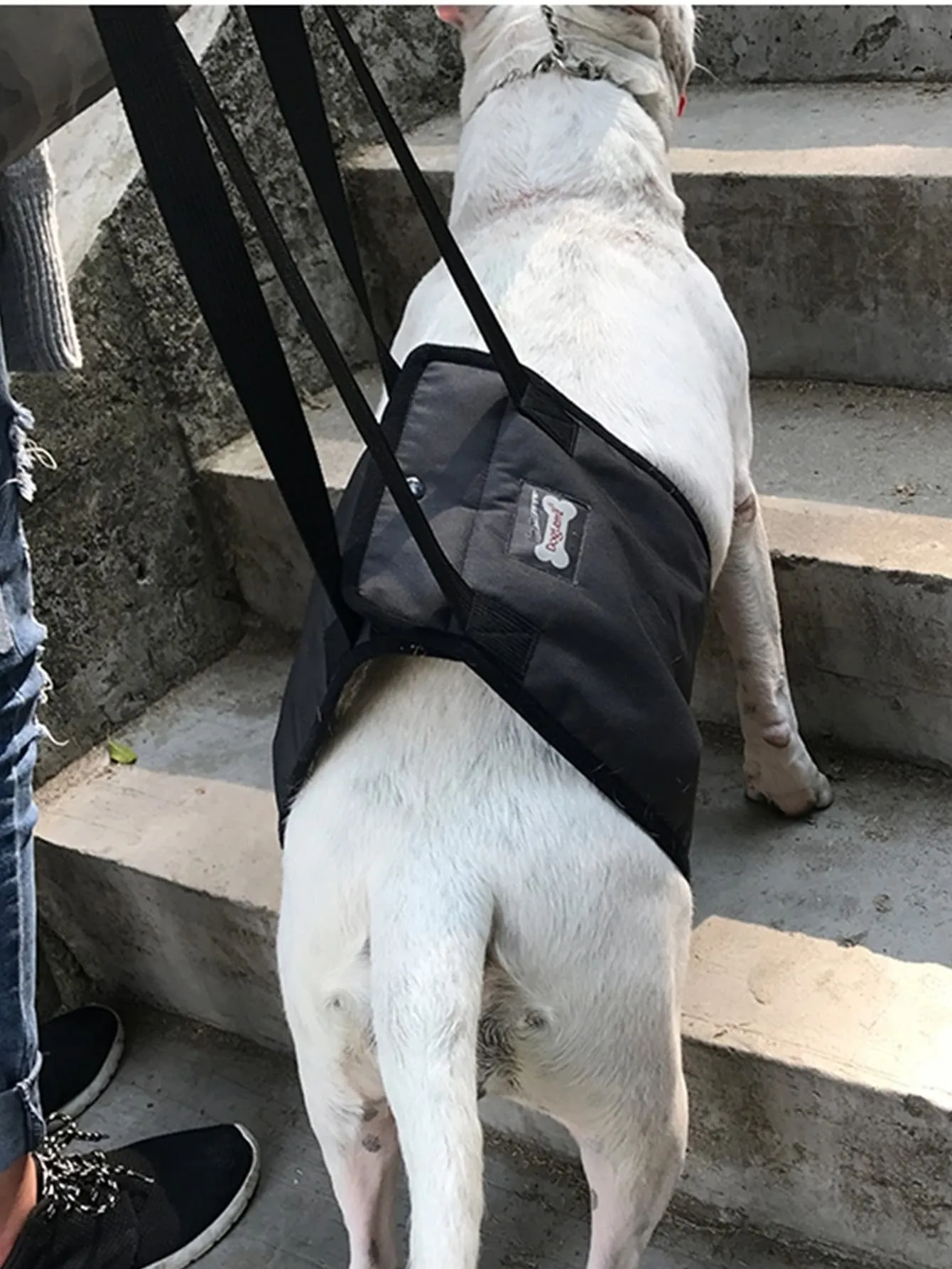1pc Pet Auxiliary Walking Safety Belt