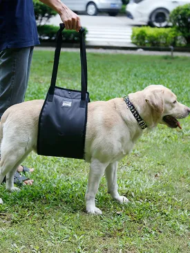 1pc Pet Auxiliary Walking Safety Belt