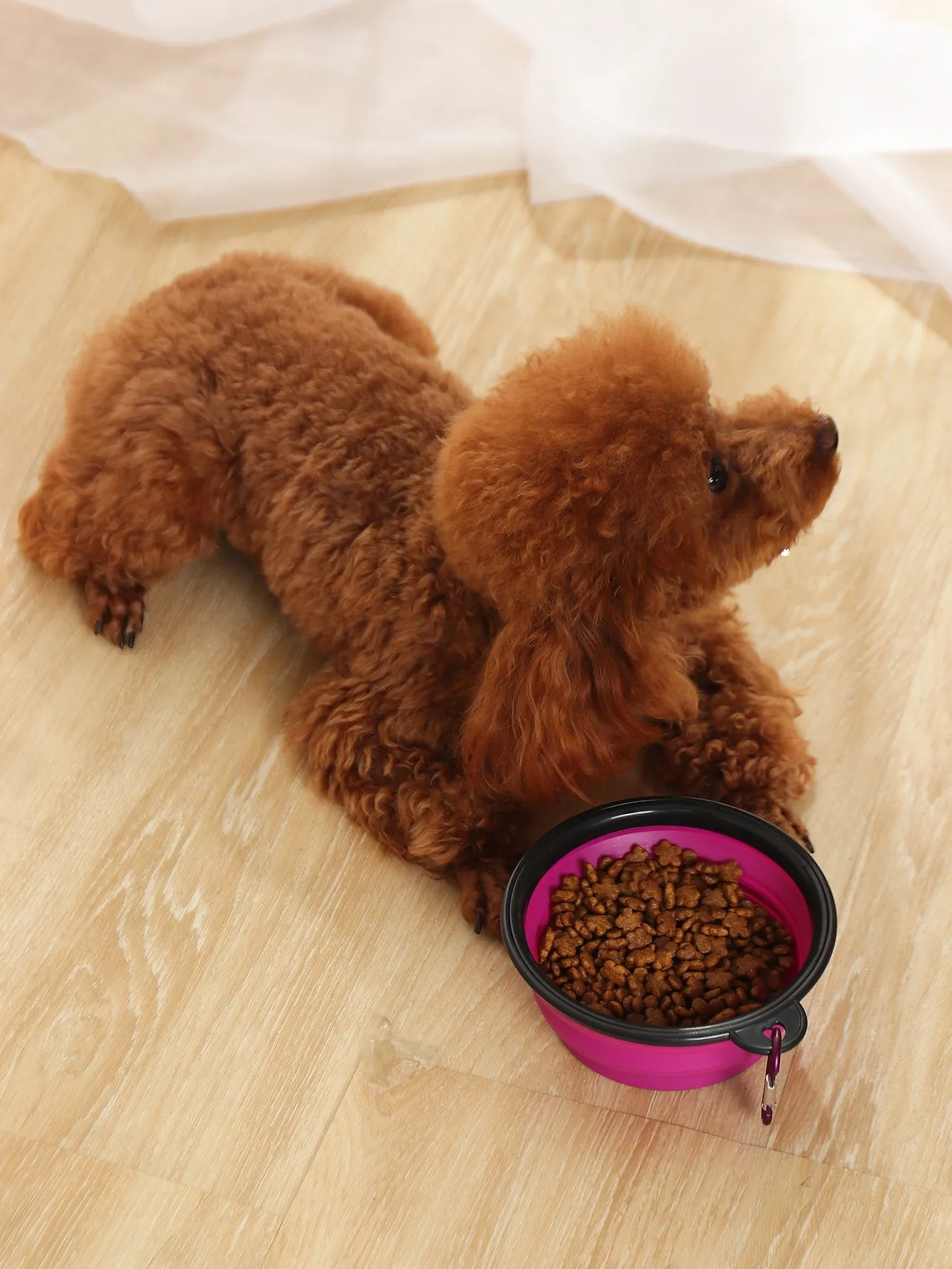 1pc Silicone Foldable Pet Travel Bowl