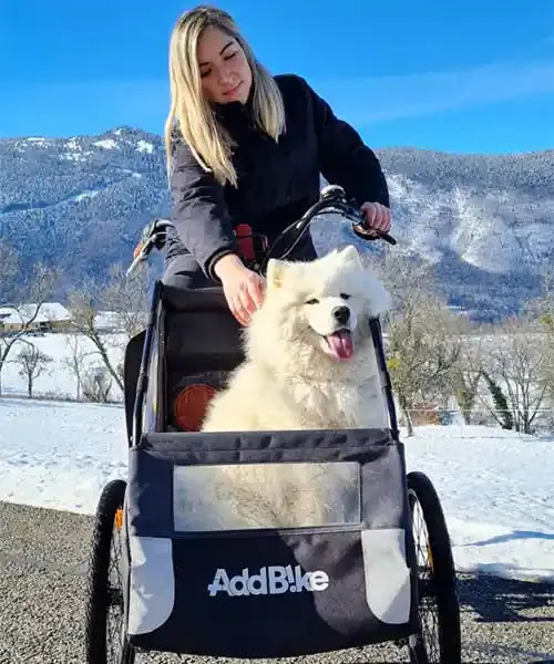 AddBike Carry'Dog Kit | Front Dog Bike Trailer