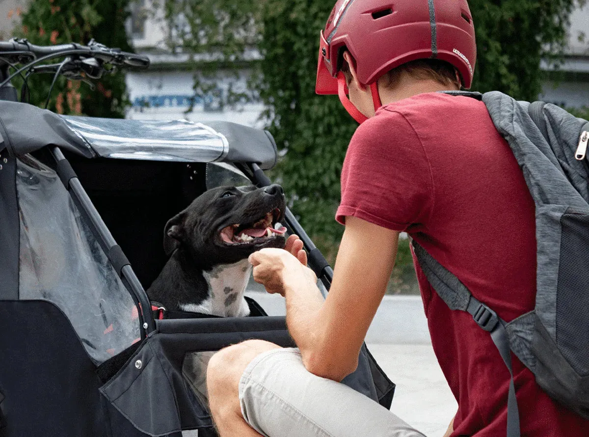 AddBike Carry'Dog Kit | Front Dog Bike Trailer