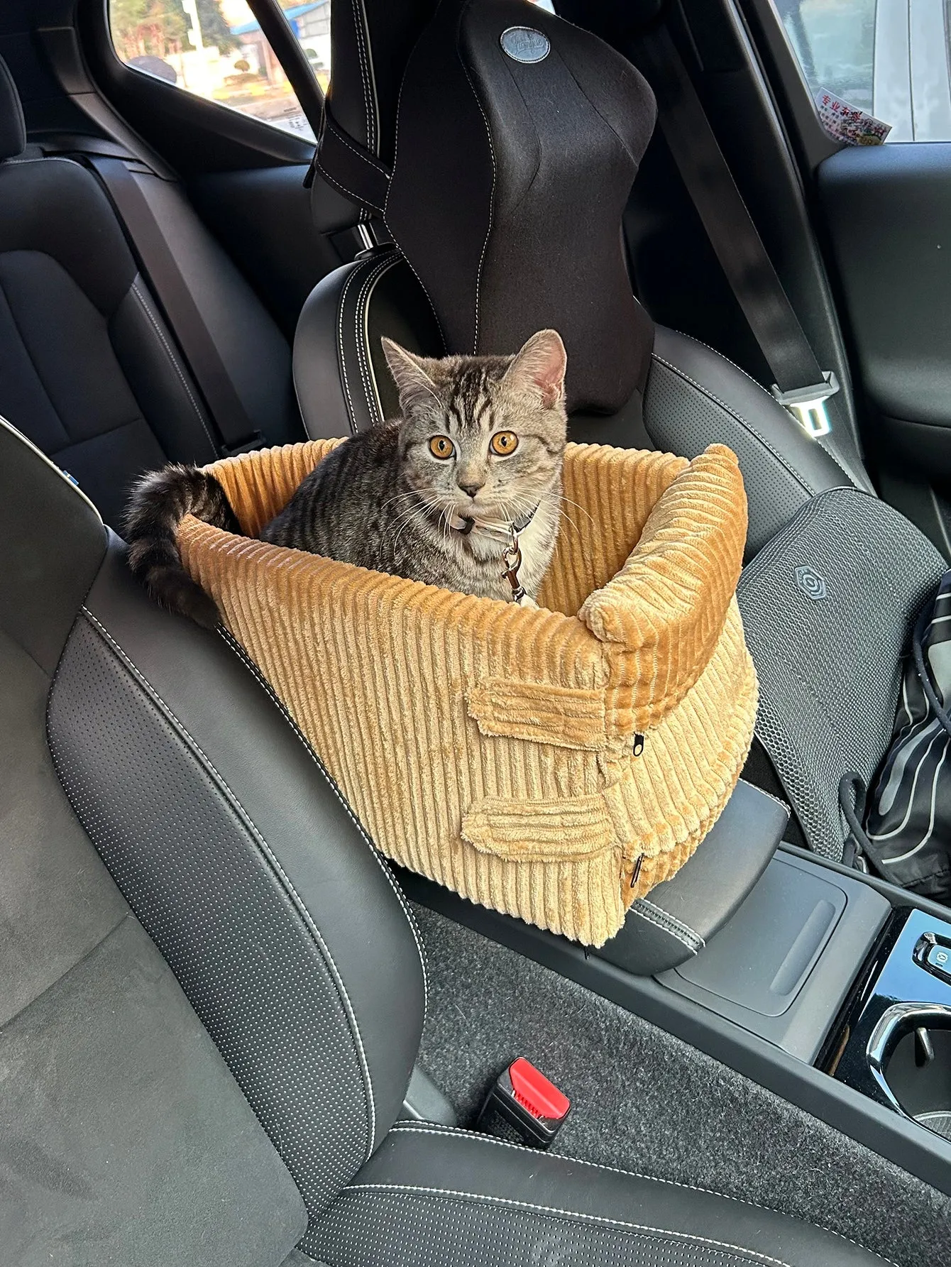 Car Seat For Small Pets With Armrest, Heightening Design, Suitable