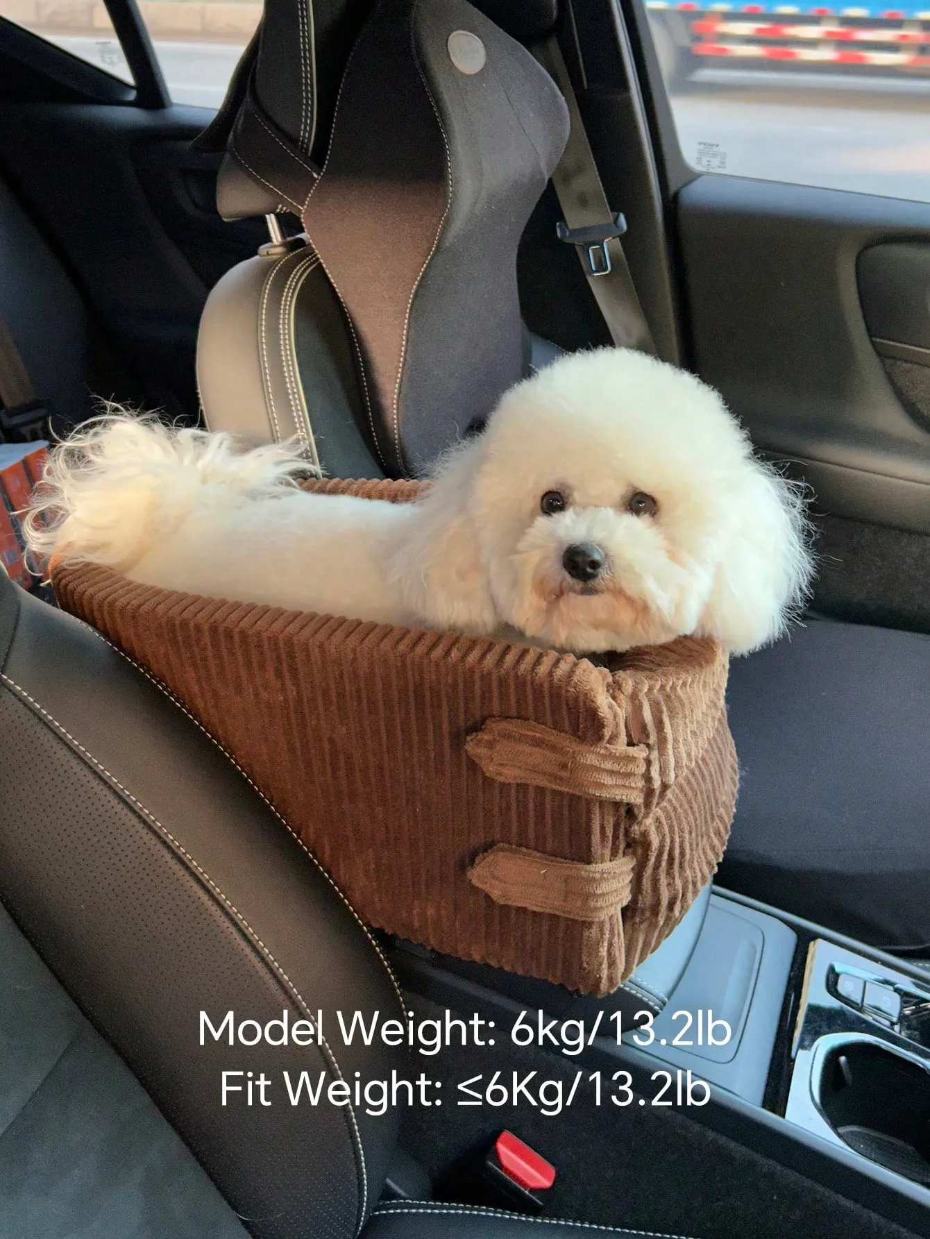 Car Seat For Small Pets With Armrest, Heightening Design, Suitable
