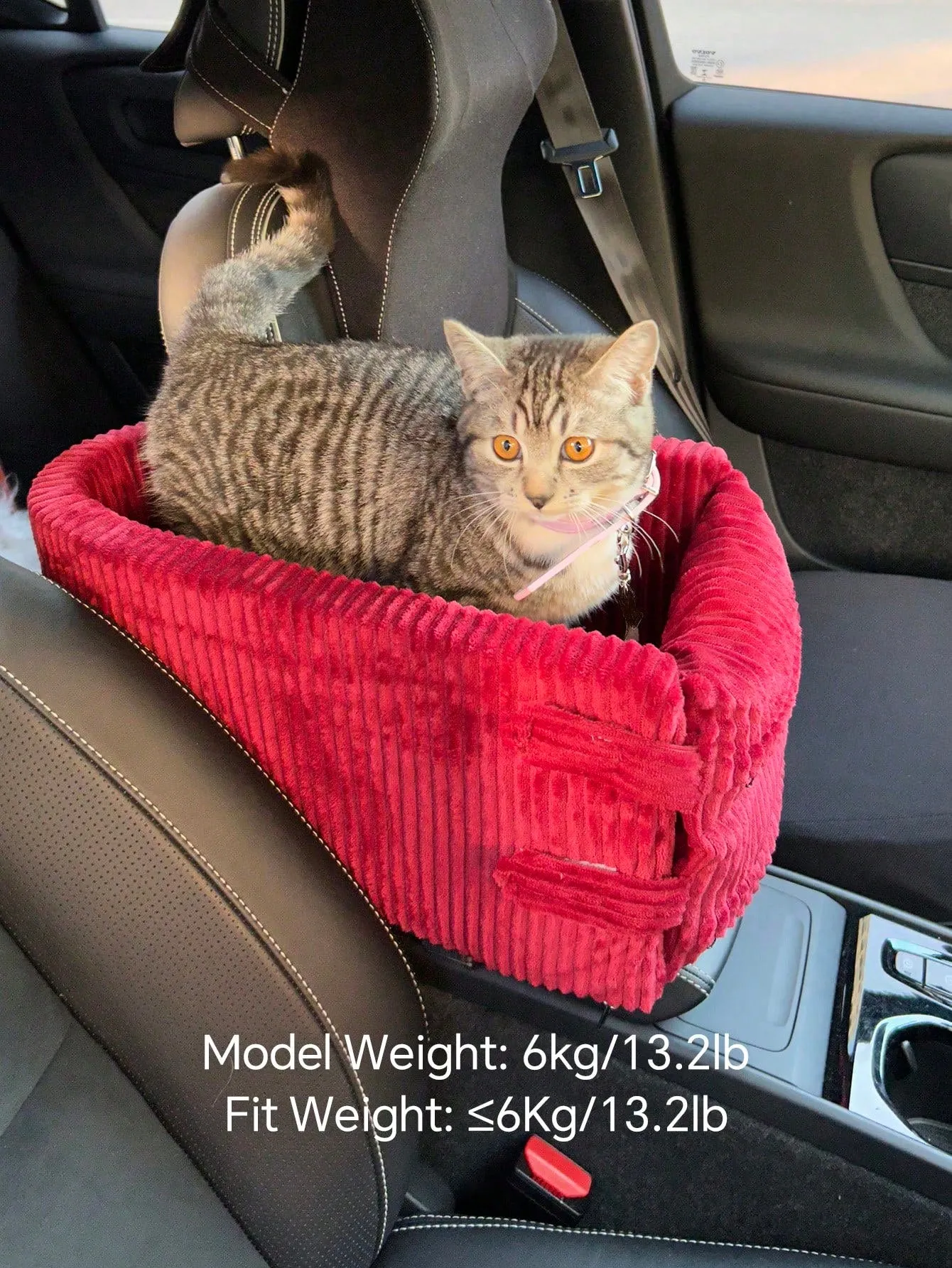 Car Seat For Small Pets With Armrest, Heightening Design, Suitable