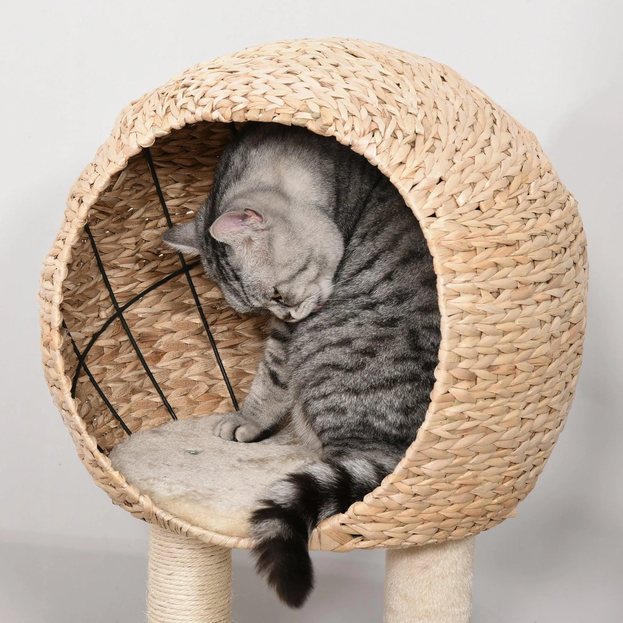 Cat Tower with Perch and Teasing Rope Toy, 100cm - Beige