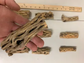 Cholla Driftwood Sticks