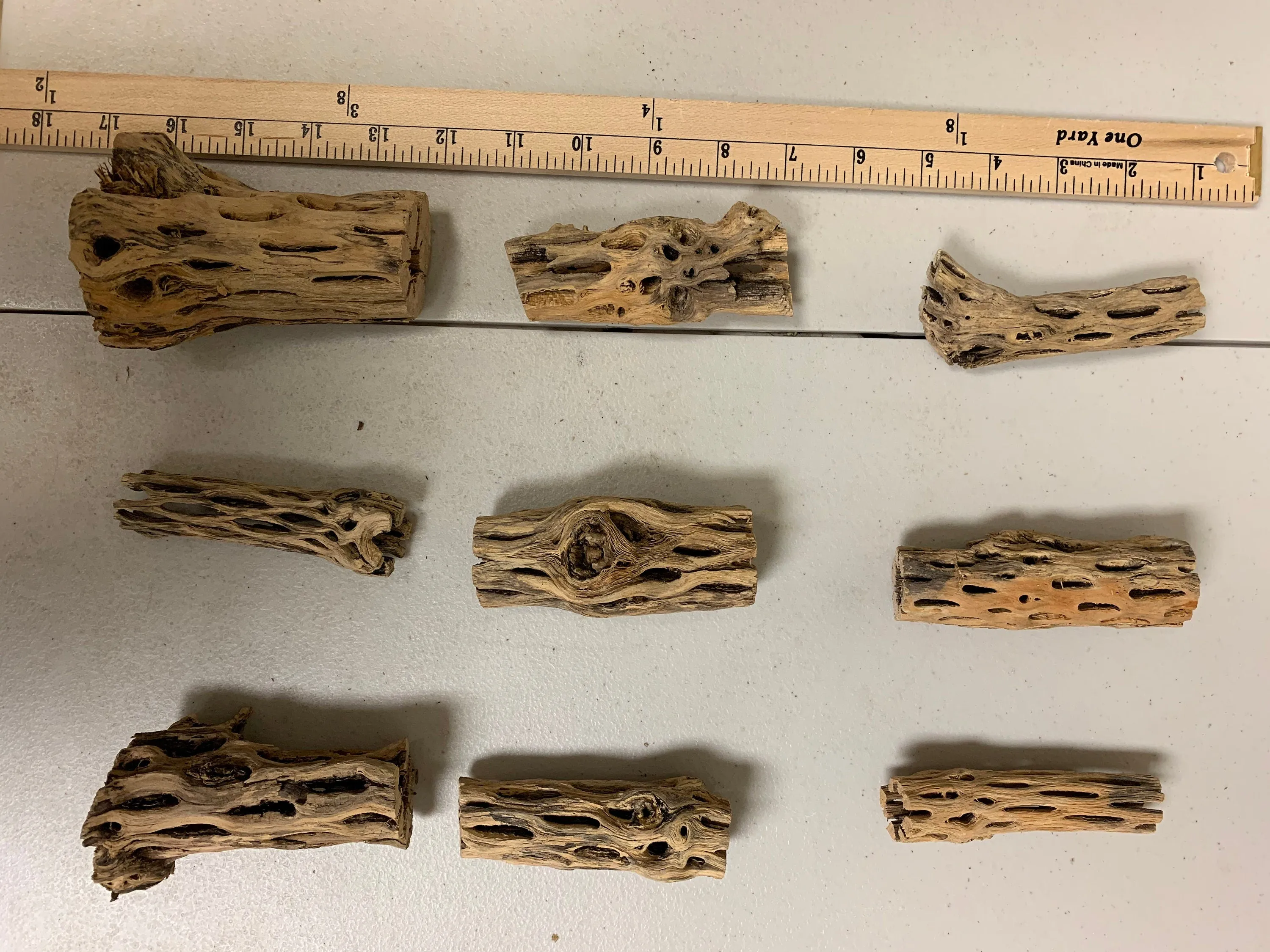 Cholla Driftwood Sticks