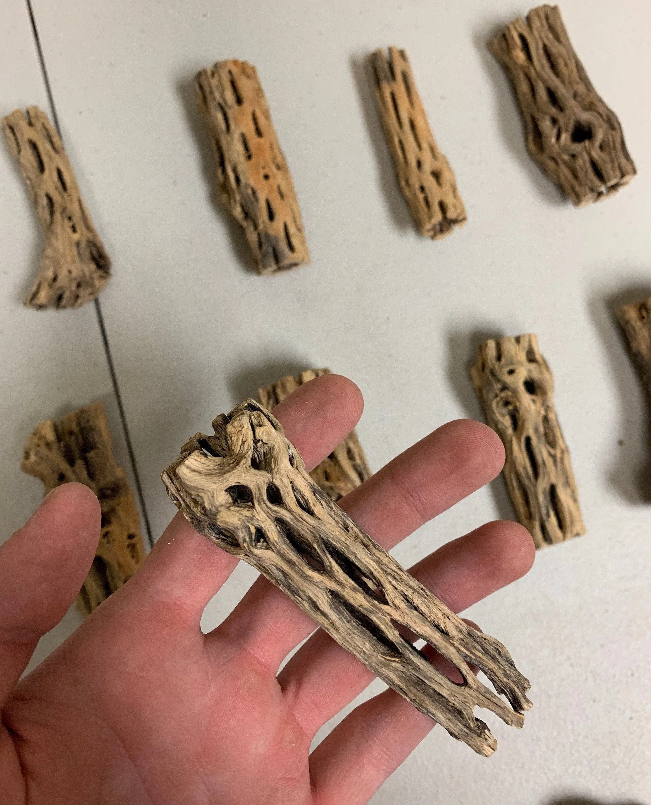 Cholla Driftwood Sticks