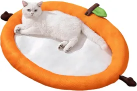 Cute Fruits Pet Cooling Summer Mat, Pet Straw Mat for Dogs Cats, Pet Breathable Comfort Mat Sleeping Pad for Dogs Cats Puppy Kitten (Orange,Small)