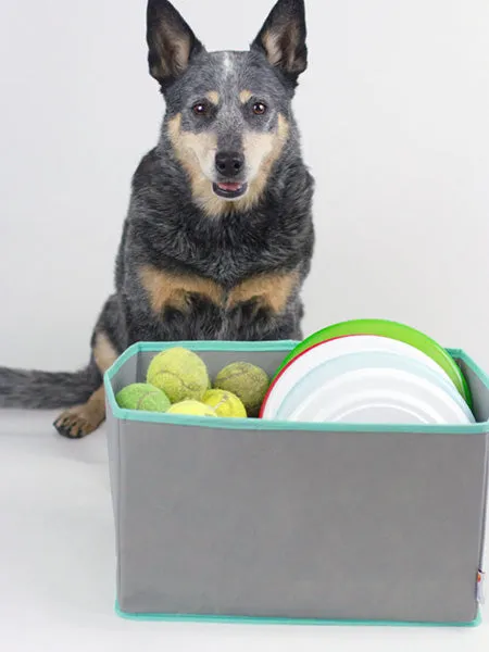 Dog Toy Baskets to Keep Your Home "Spot"-less