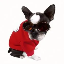 doggles - racing flames with orange lens - 1 large left!