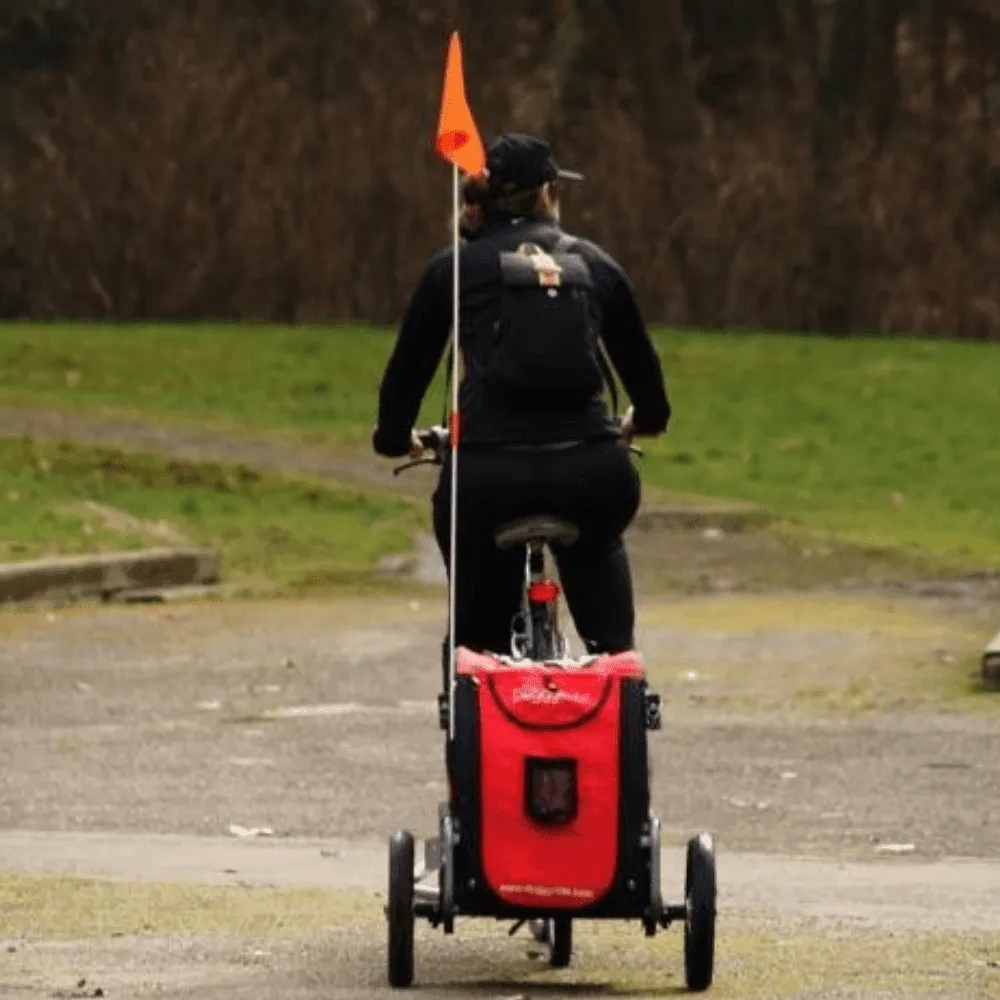 DoggyRide Mini 2020 Dog Bike Trailer | Red | Axle Coupling | Dutch Dog Design®