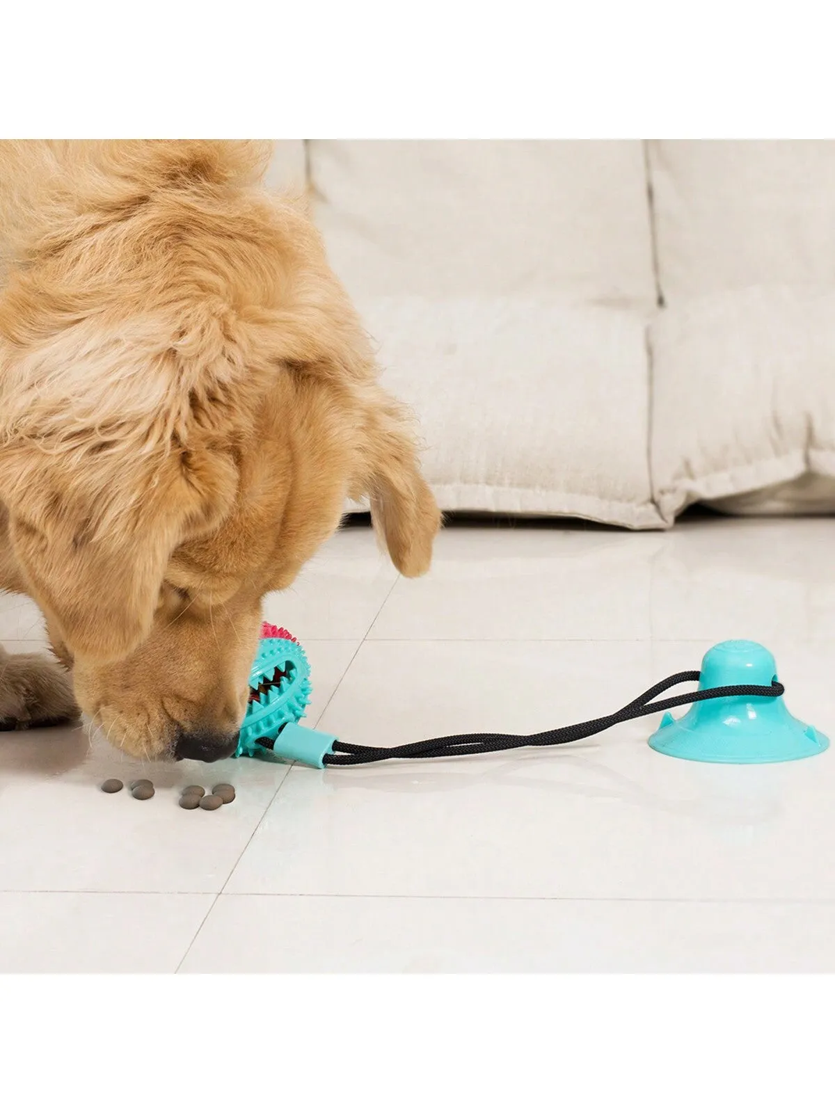 Dogs Pull Rope Chew Toy With Powerful Suction Cup,Pet Molar Teething Feeder