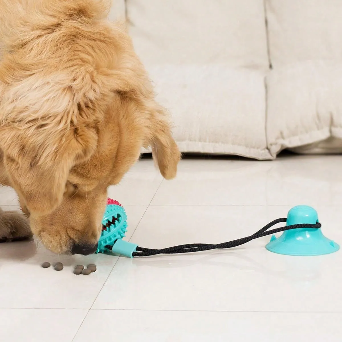 Dogs Pull Rope Chew Toy With Powerful Suction Cup,Pet Molar Teething Feeder