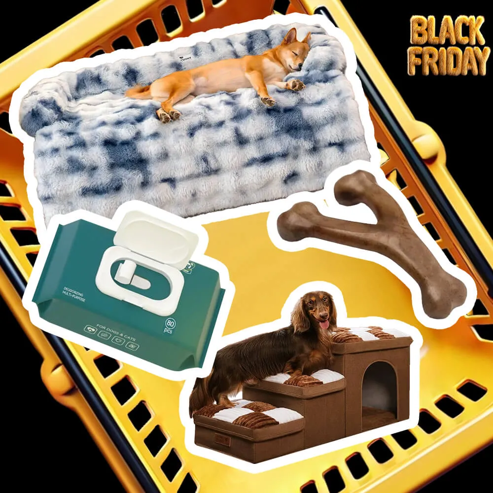 Fluffy Fuzzy Calming Dog Bed Sofa Protector Home Bundle 4pcs