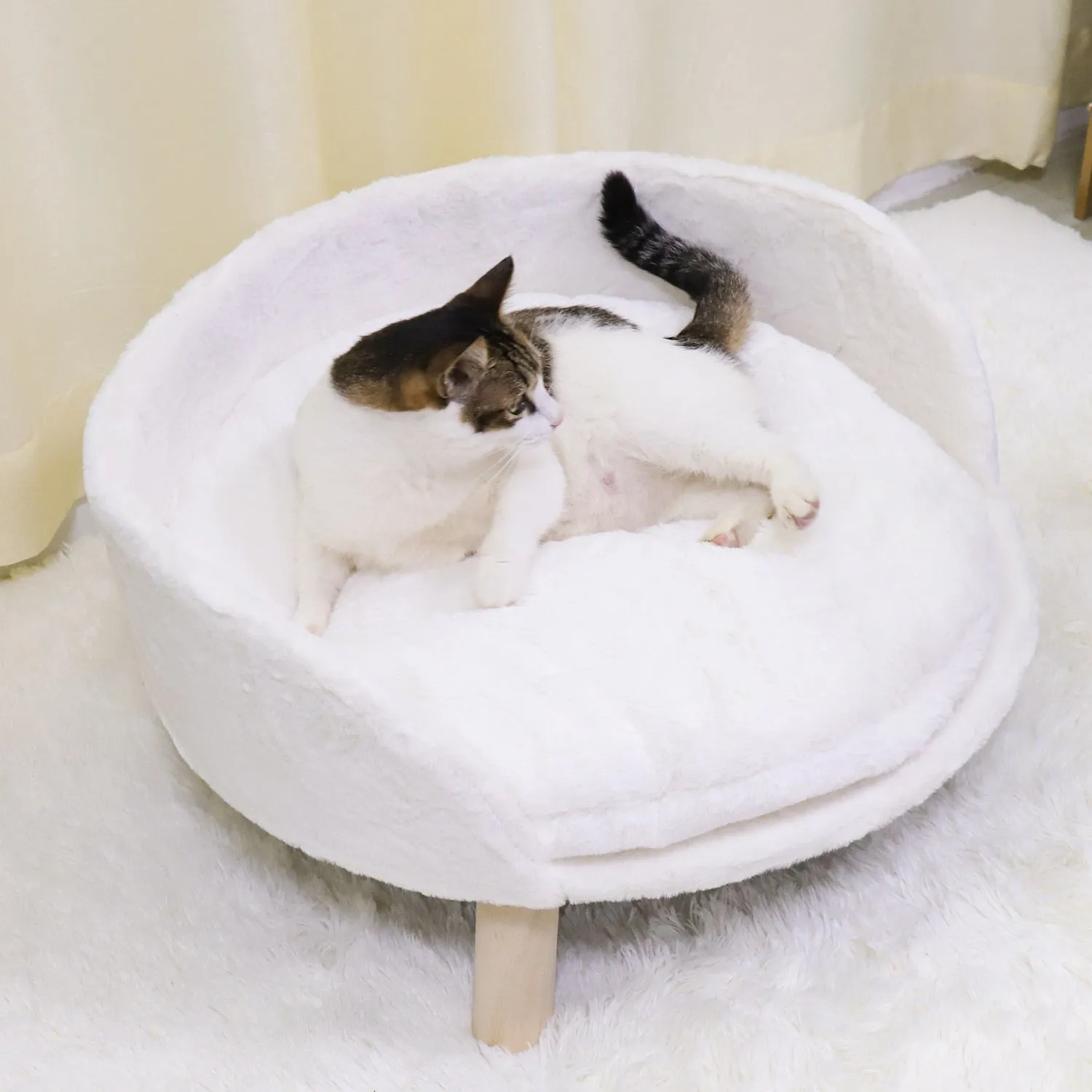 Funki Buys | Pet Beds | Pet Sofa Bed | Raised Small Dog Couch