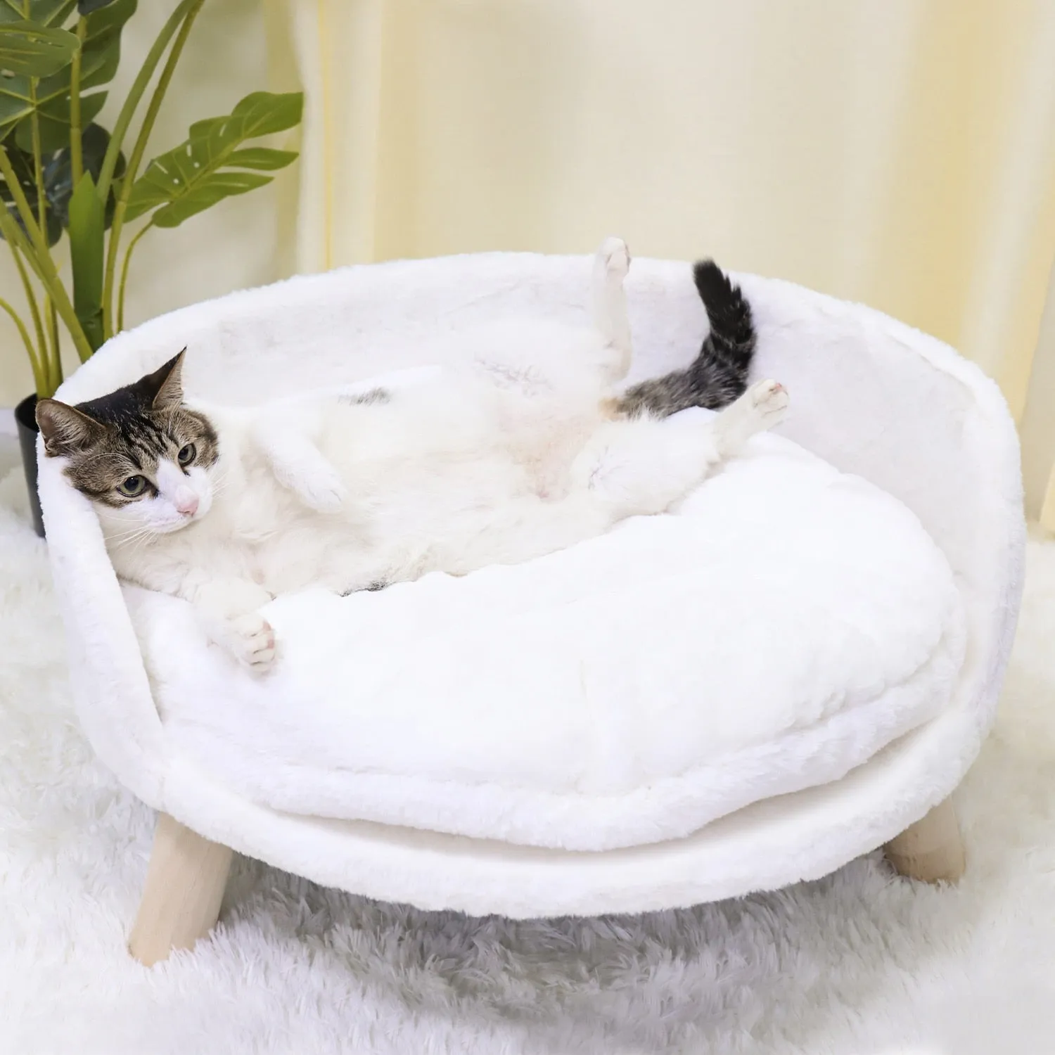Funki Buys | Pet Beds | Pet Sofa Bed | Raised Small Dog Couch