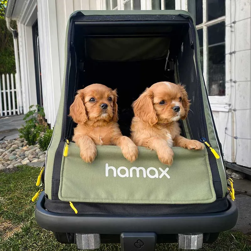 Hamax Pluto Multi-functional Dog Stroller & Dog Bike Trailer | Medium