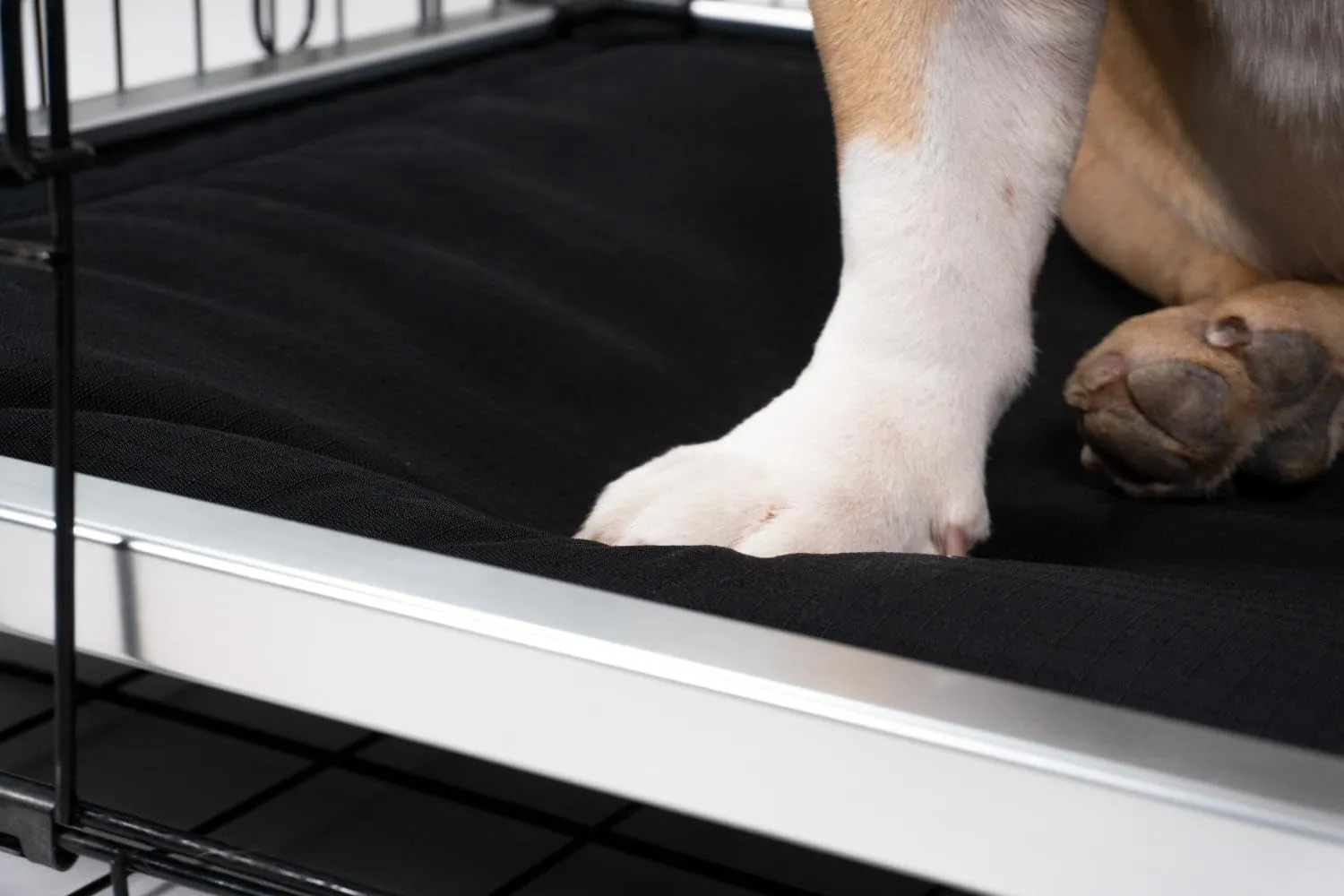 K9 Ballistics Chew Proof Armored Padded Dog Crate Bed, Virtually Indestructible, Legs Included (Blue Quartz, Small (29" L x 18" W x 4.5" H))