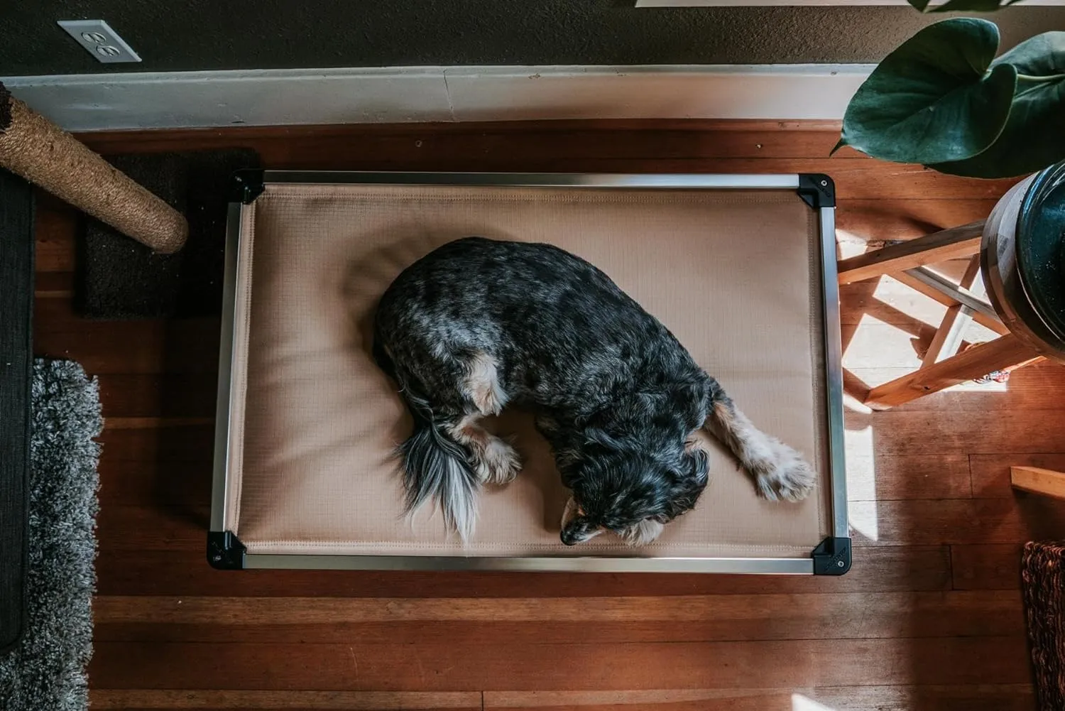 K9 Ballistics Chew Proof Armored Padded Dog Crate Bed, Virtually Indestructible, Legs Included (Blue Quartz, Small (29" L x 18" W x 4.5" H))