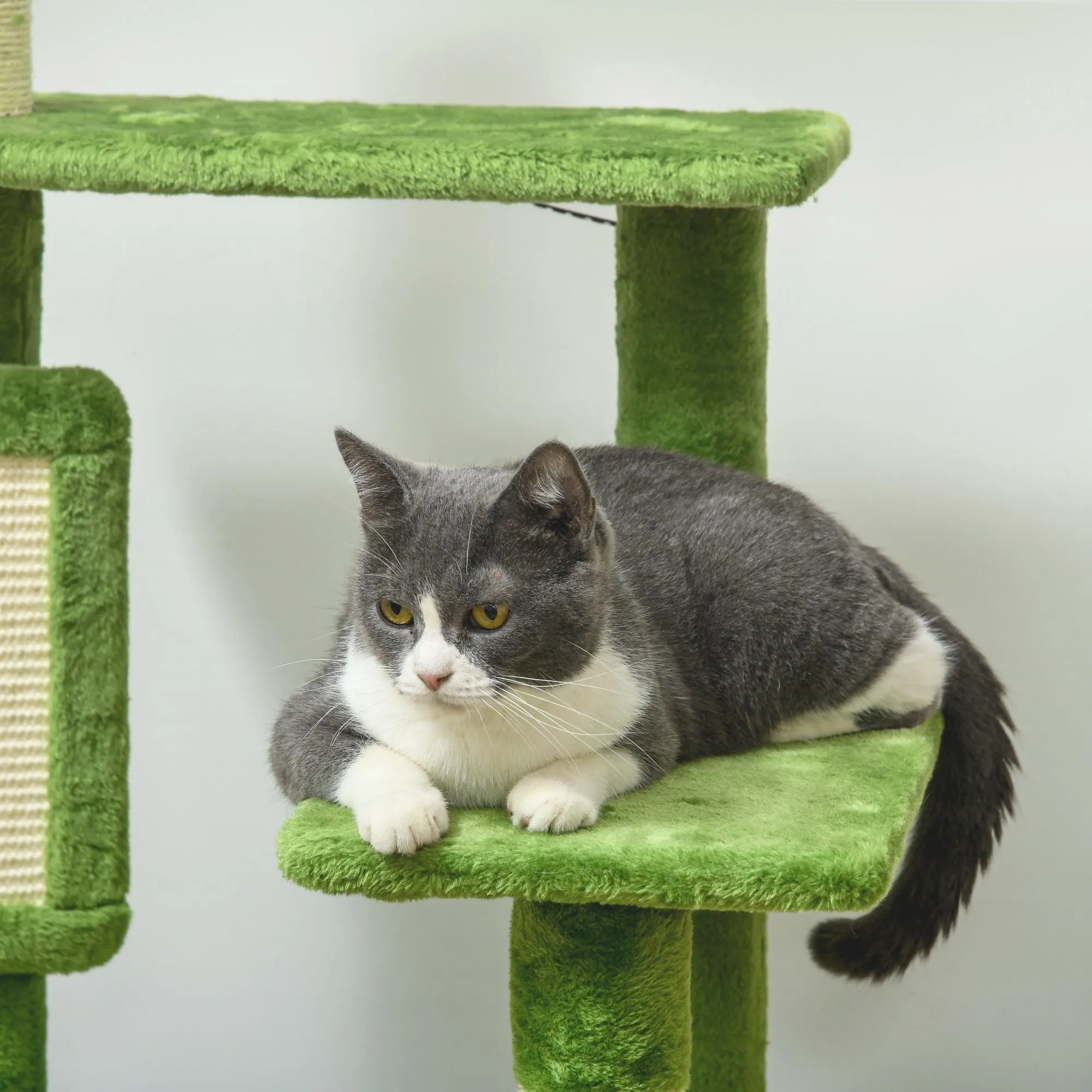 Multi-level Cat Tree Tower with Platforms, 142cm - Green