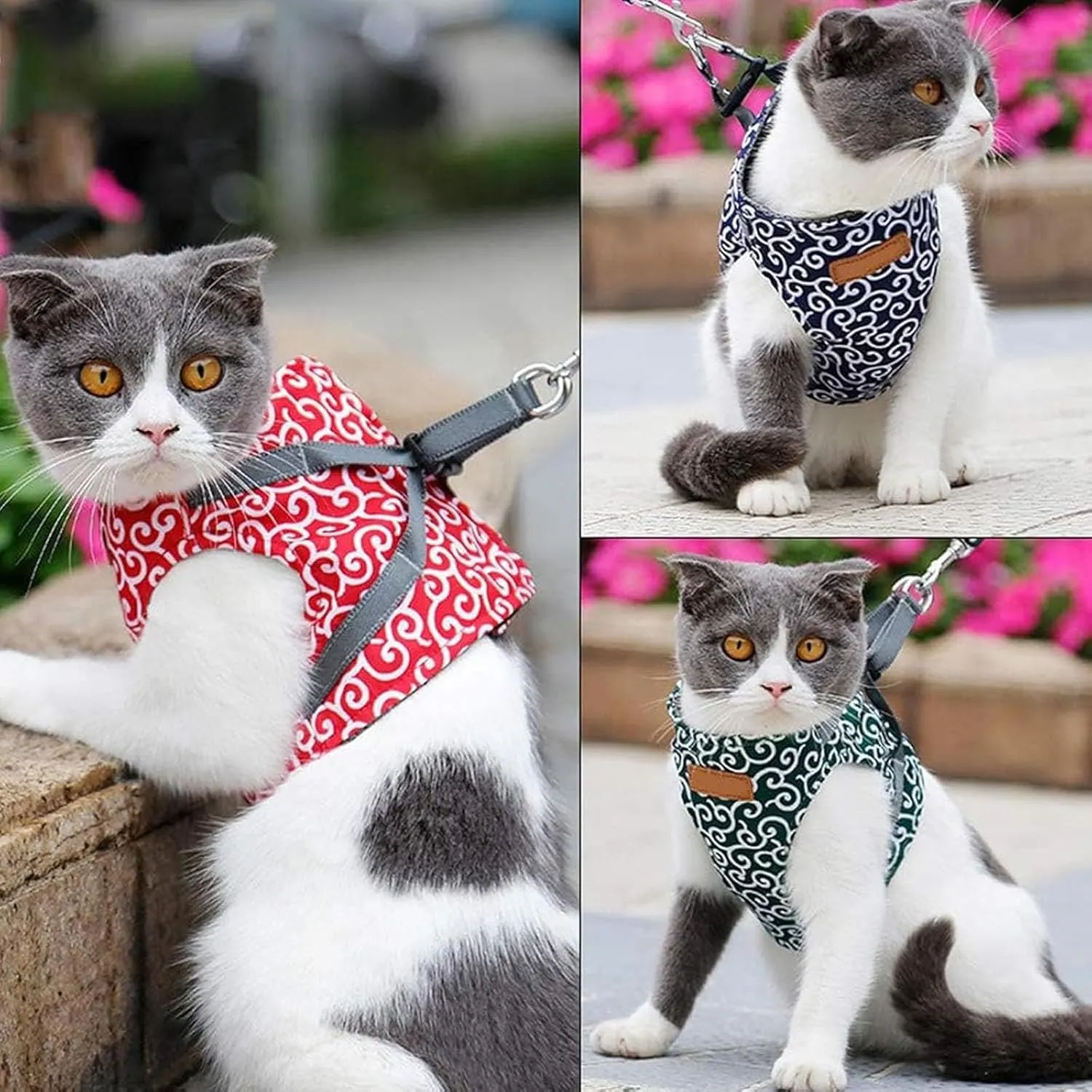 Niowatched Cat Vest Harness and Leash, Anti-Break Away Chest Strap Cat Clothes, Escape Proof Adjustable Soft Mesh Vest for Cats, Breathable Comfortable Pet Harness with Quick Release Buckle (C, M)