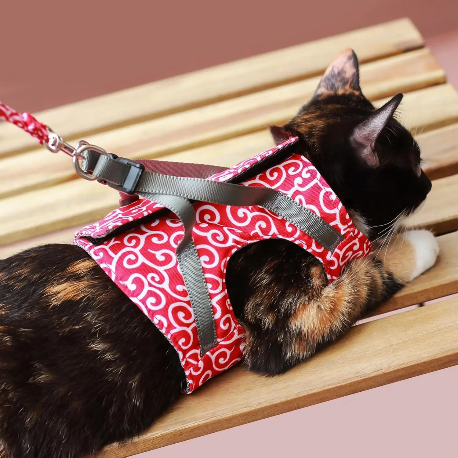 Niowatched Cat Vest Harness and Leash, Anti-Break Away Chest Strap Cat Clothes, Escape Proof Adjustable Soft Mesh Vest for Cats, Breathable Comfortable Pet Harness with Quick Release Buckle (C, M)