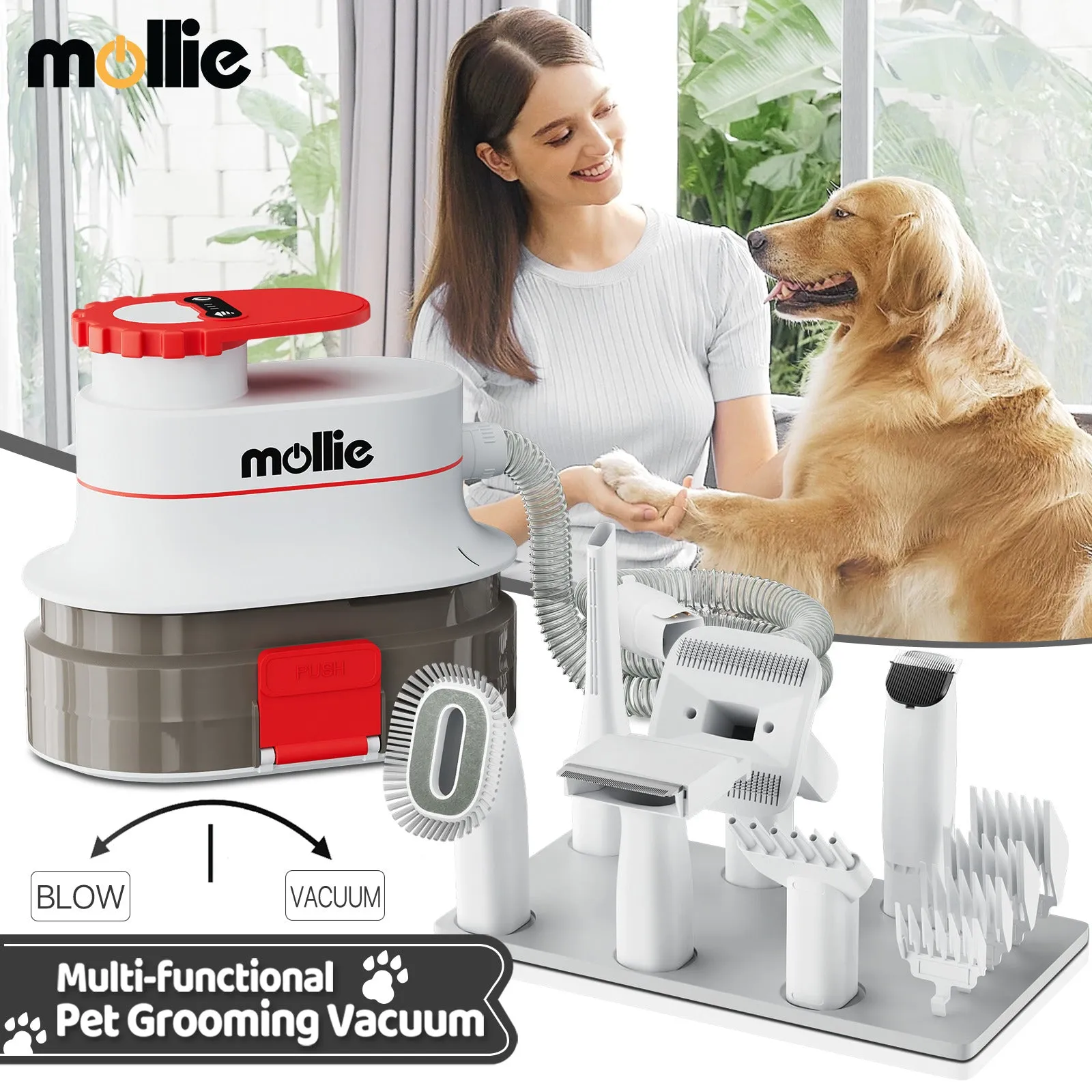 Pet Grooming Vacuum Kit - Blow & Vacuum - 300W, 3 Gear Speed, 6 Nozzles, 4L Dust Cup