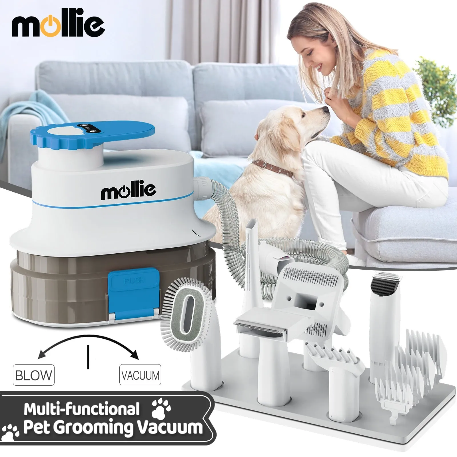 Pet Grooming Vacuum Kit - Blow & Vacuum - 300W, 3 Gear Speed, 6 Nozzles, 4L Dust Cup