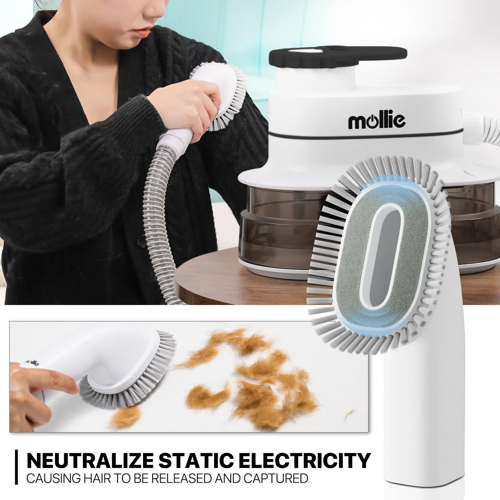Pet Grooming Vacuum Kit - Blow & Vacuum - 300W, 3 Gear Speed, 6 Nozzles, 4L Dust Cup