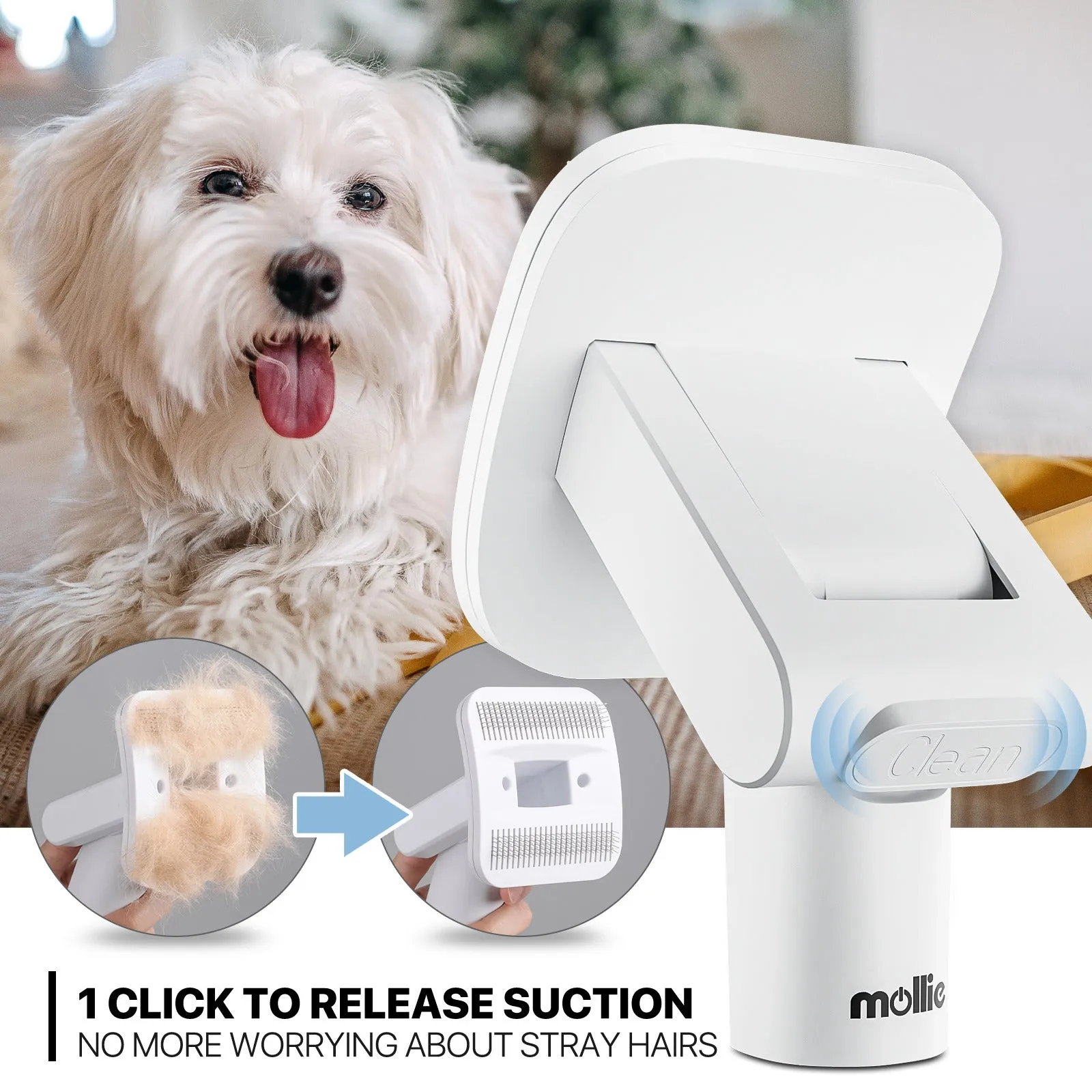 Pet Grooming Vacuum Kit - Blow & Vacuum - 300W, 3 Gear Speed, 6 Nozzles, 4L Dust Cup