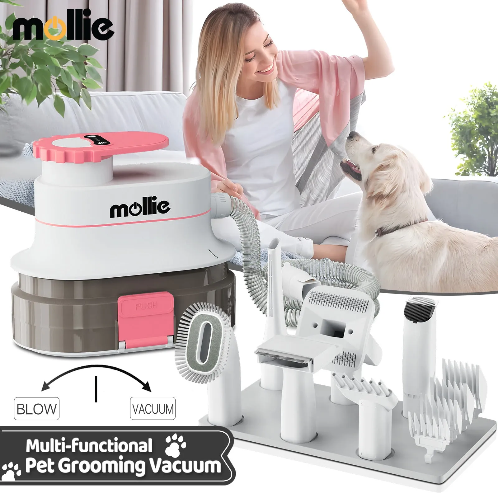 Pet Grooming Vacuum Kit - Blow & Vacuum - 300W, 3 Gear Speed, 6 Nozzles, 4L Dust Cup