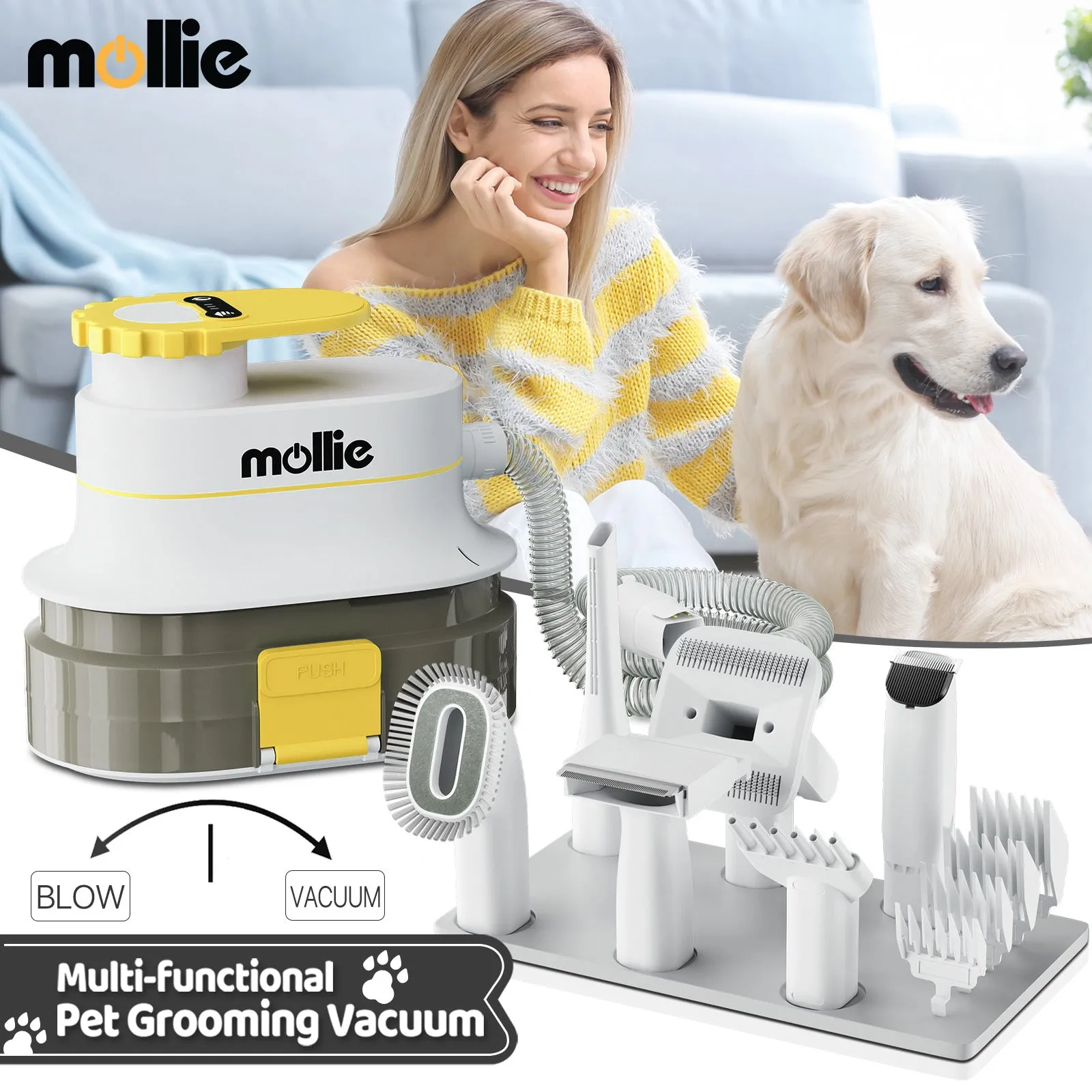 Pet Grooming Vacuum Kit - Blow & Vacuum - 300W, 3 Gear Speed, 6 Nozzles, 4L Dust Cup
