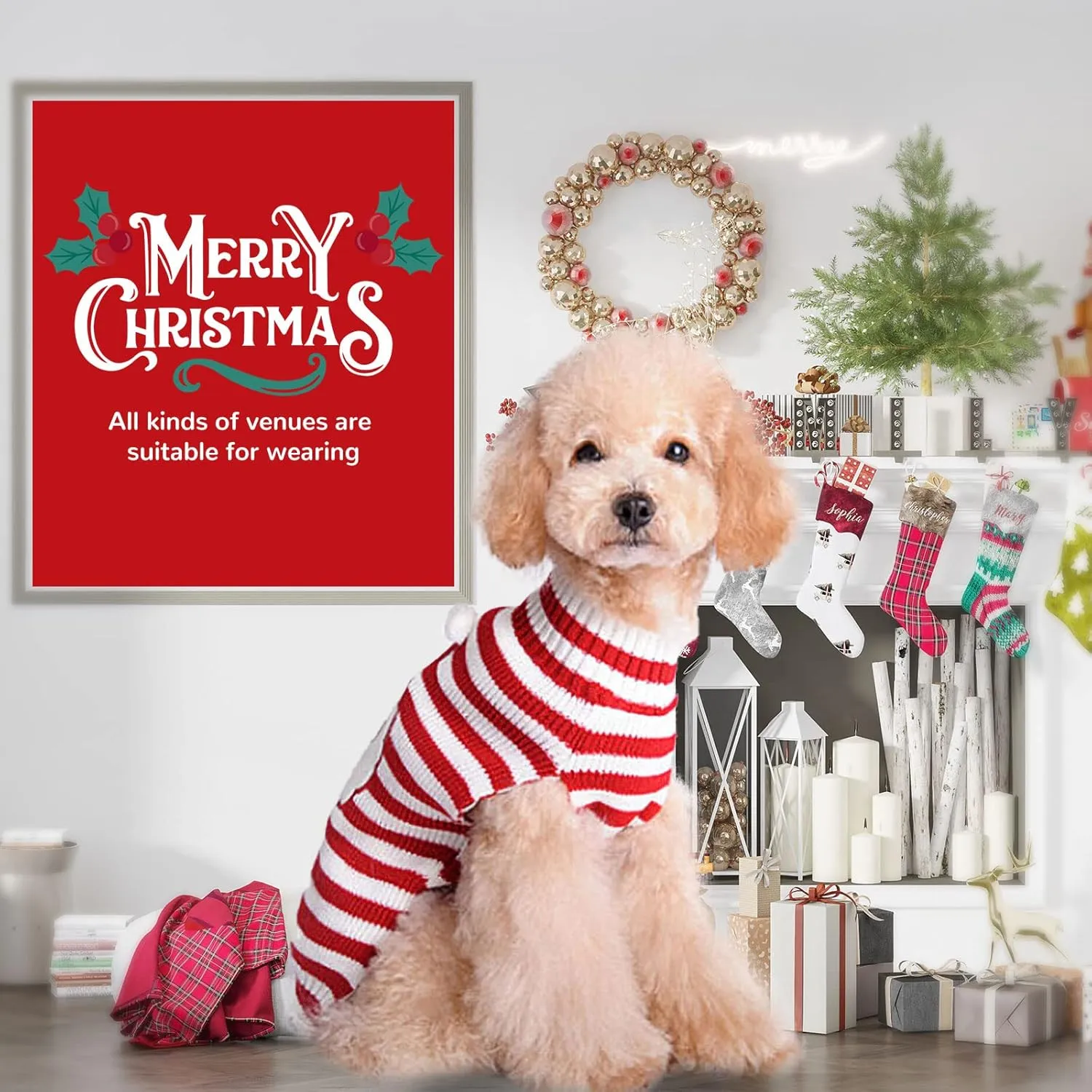 PETCARE Santa Funny Cute Red Striped Cat & Dog Sweater Vest - Small to XX-Large, Perfect for Fall, Winter & Xmas