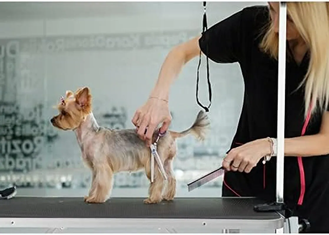 Professional Adjustable Pet Grooming Table for Large Dogs - Portable Trimming and Drying Table with Arm, Noose, and Mesh Tray - Supports Up to 330LB