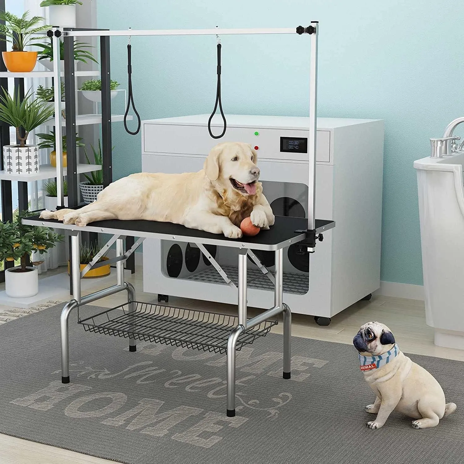 Professional Adjustable Pet Grooming Table for Large Dogs - Portable Trimming and Drying Table with Arm, Noose, and Mesh Tray - Supports Up to 330LB