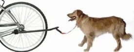 Sunlite Bicycle Mounted Dog Leash