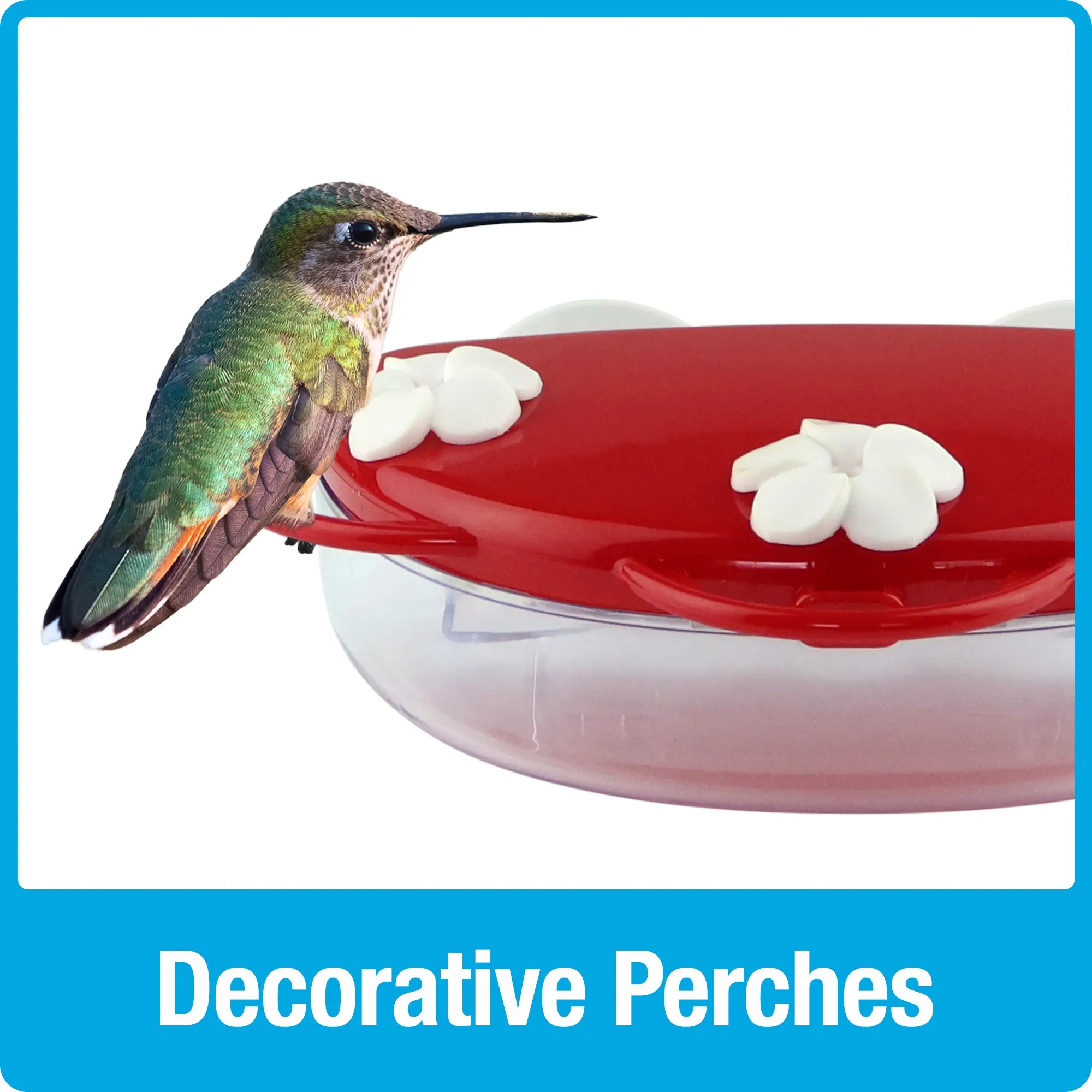 Traditional Window Hummingbird Feeder