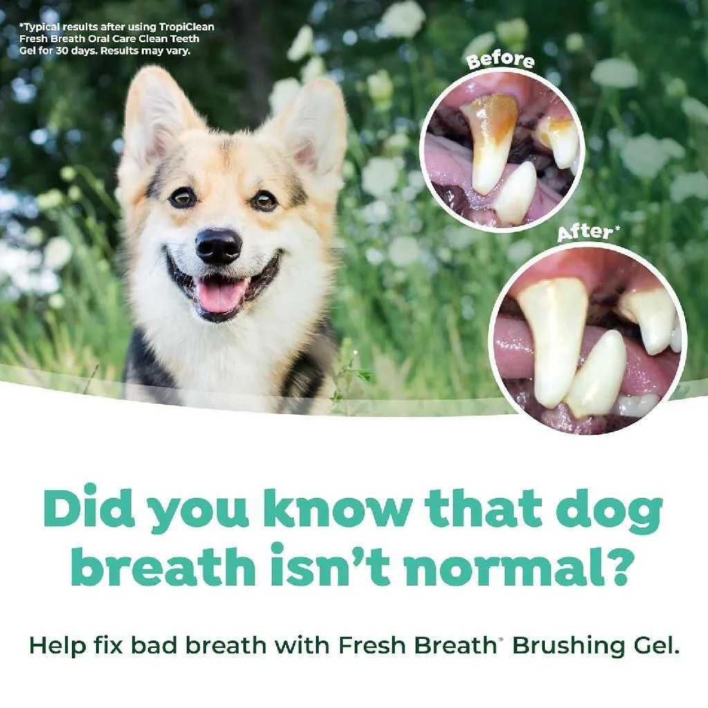 Tropiclean Fresh Breath Oral Care Kit For Dogs (Large)