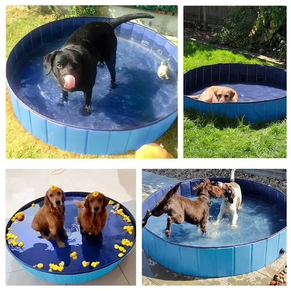 Yaheetech Collapsible Dog Pet Pools